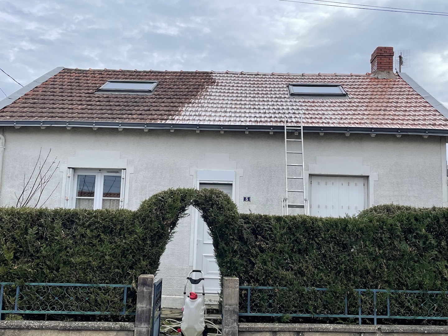 Peintre meuche Youri — Photos 9